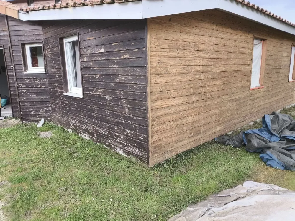 cabane bois